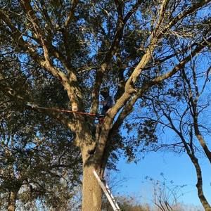 Meet your Posher, Douglas